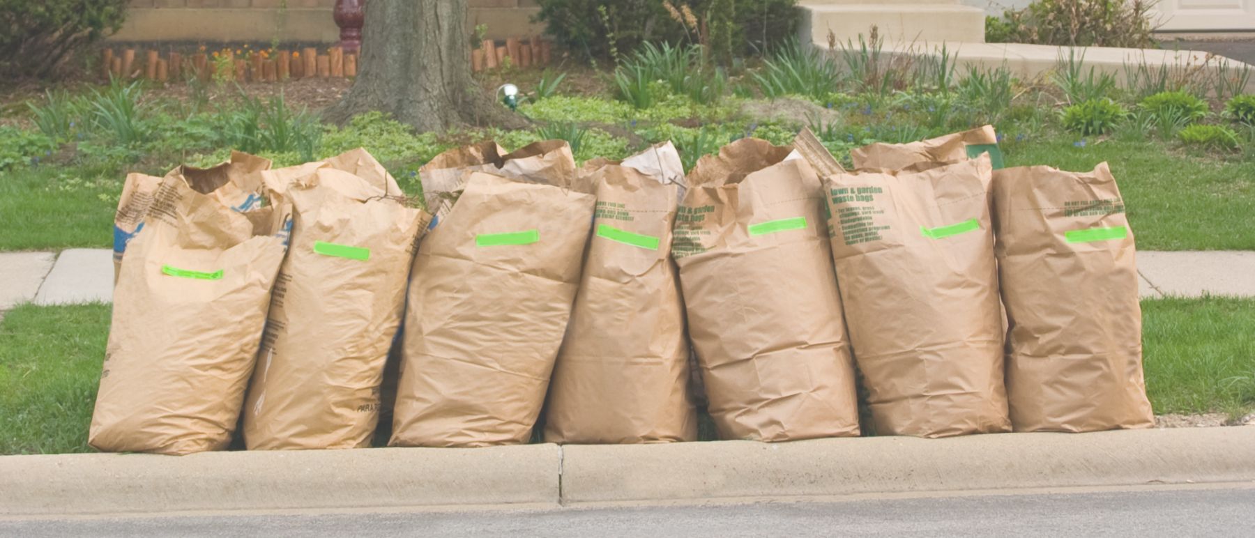 yard waste bags on curb