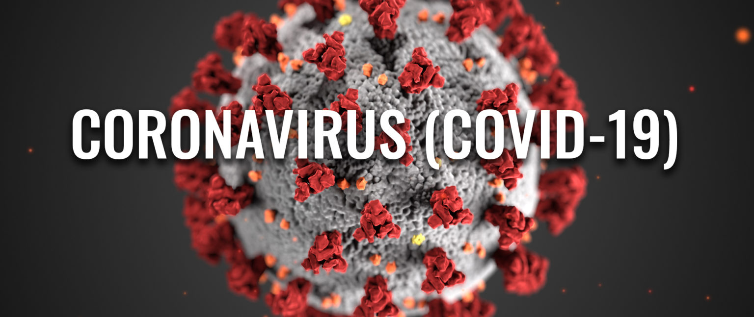 image of the coronavirus pathogen
