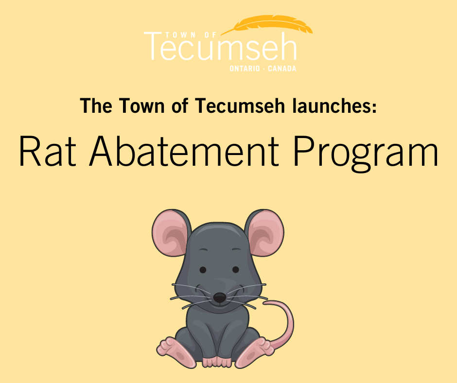 rat abatement program