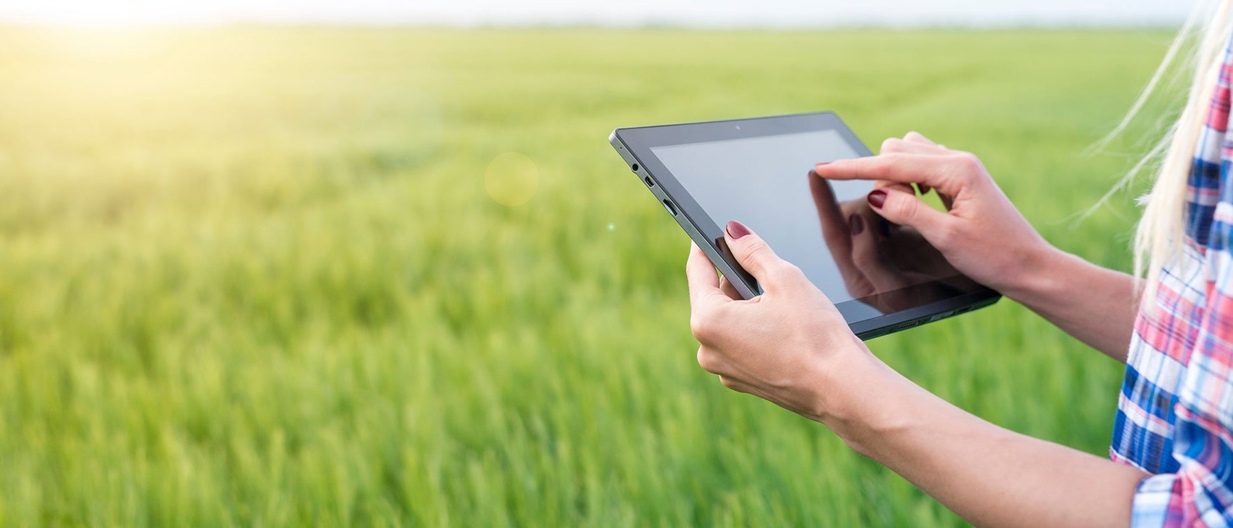 lady using a tablet in a field