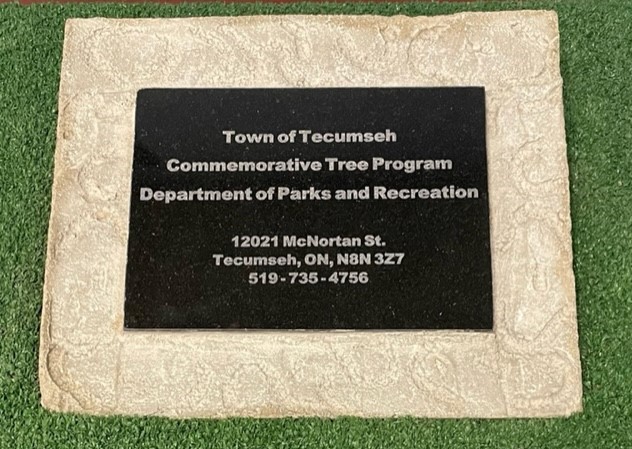 Image of tree plaque