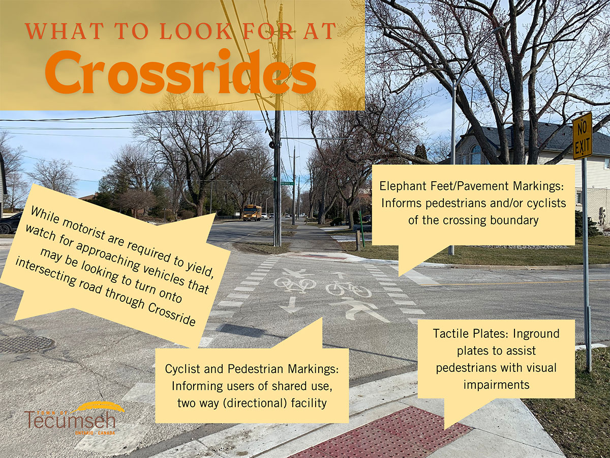 An example of a Crossride with markings defining different sections